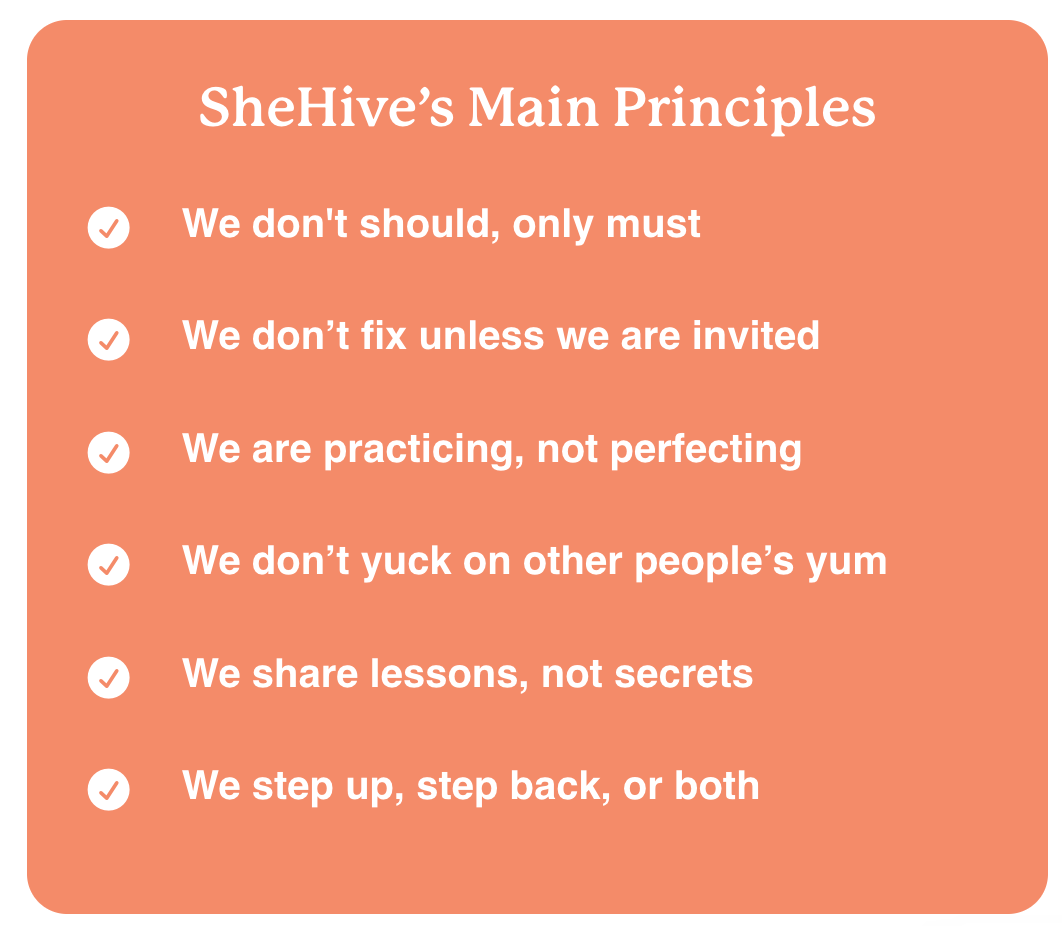 1. We don't should, only must. 2. We don't fix unless invited. 3. We practice, not perfect. 4. Don't yuck someone's yum. 5. Share lessons, not secrets. 6. Step up, step back, or both.