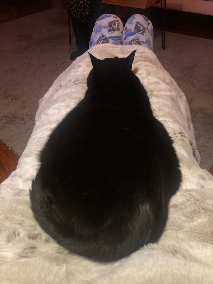 A black cat sits loaf-style on a white fake fur blanket overtop my legs.Blue printed slippers peek out.